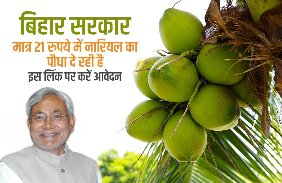 Bihar Government Subsidy, Buy Coconut Plants